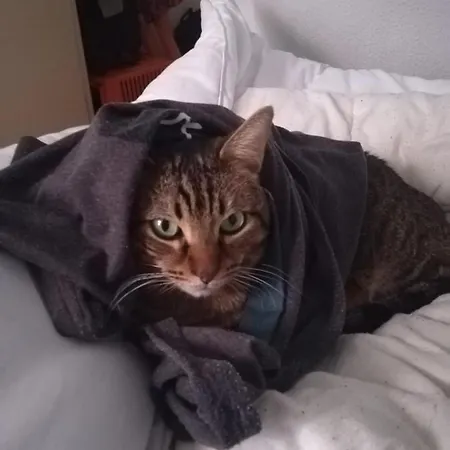 Center 홈스테이 *